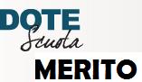 MERITO 54 1289